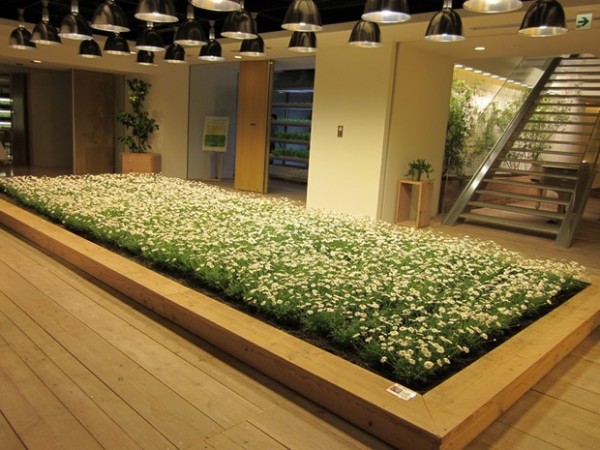 basta-u-kancelariji-4