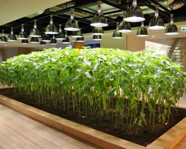 basta-u-kancelariji-5