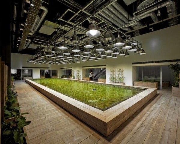 basta-u-kancelariji-6