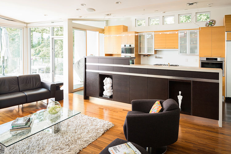 kuhinja-sa-dnevnom-sobom