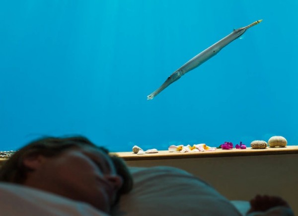 manta-resort-underwater-room-5