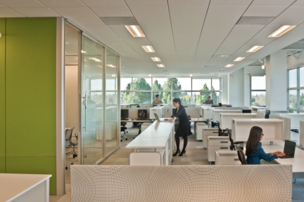 nokia-kalifornija-03