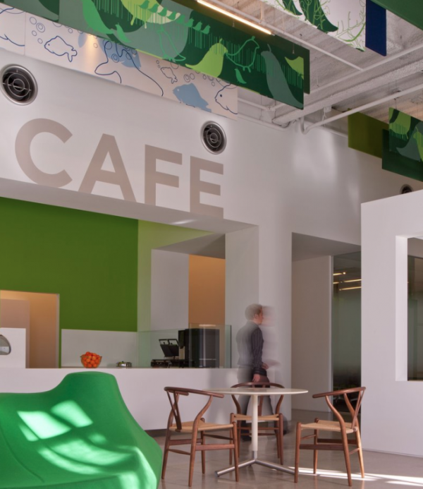 nokia-kalifornija-11