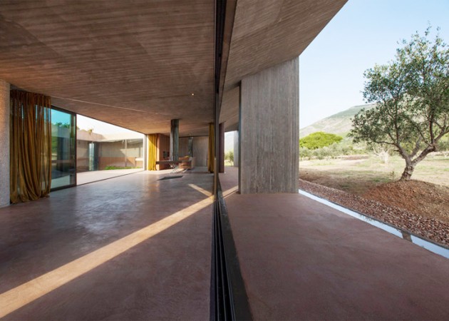 betonska-kuca-maslinjak-2