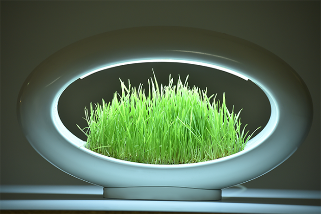 grasslamp-kicstarter-01