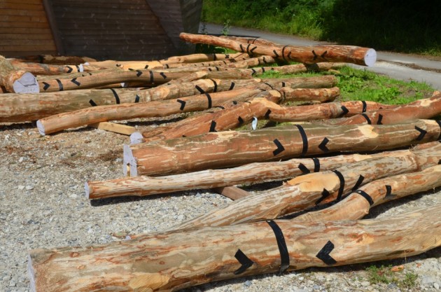 Roboticka brvnara 04