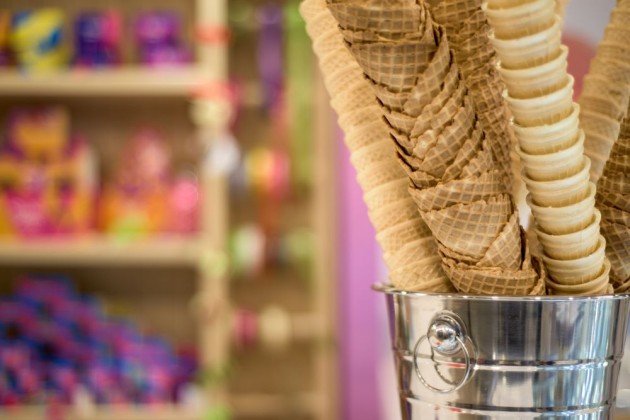 slatki-dan-novi-sad-05