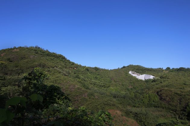 muzej-posvecen-jajima-dinosaurusa-05