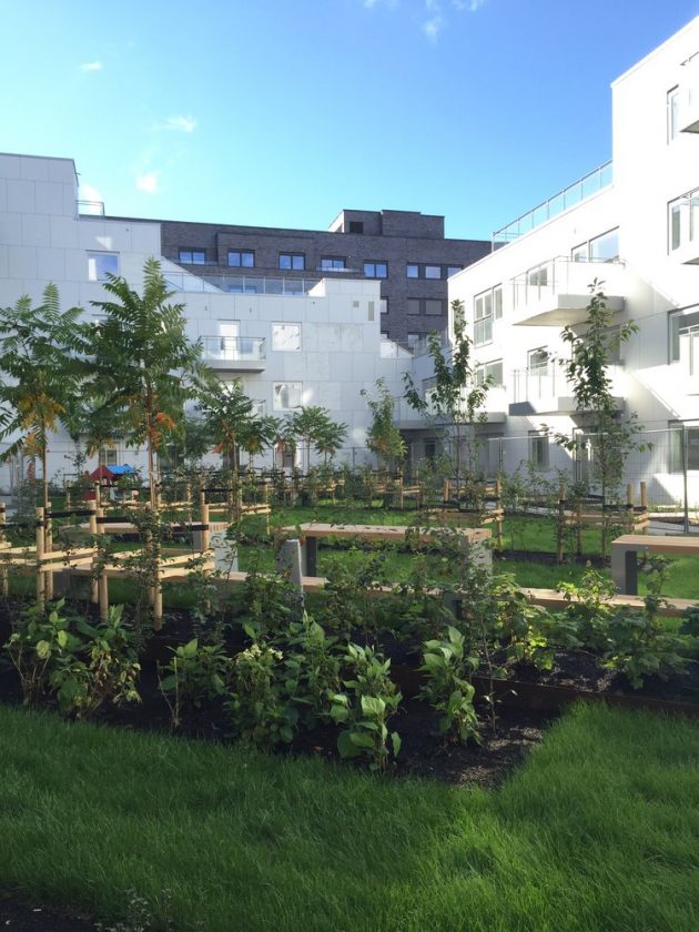 sorenga-blok-oslo-04