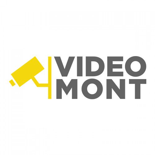 Vidoemont-Google-Logo.jpg