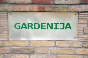 Rasadnik-Gardenija.jpg