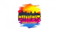 bimax logo.jpg