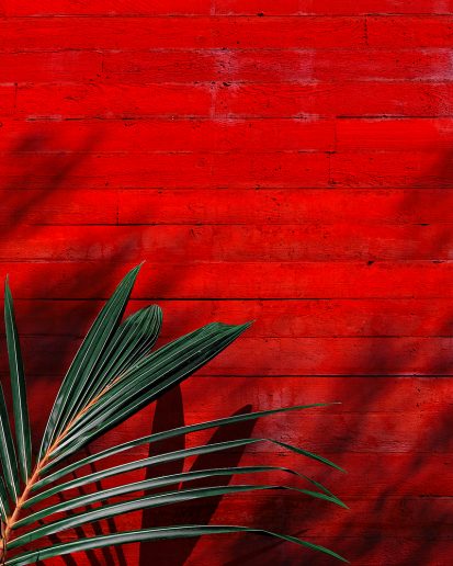 Vizuelizacija: Oppenheim Architecture