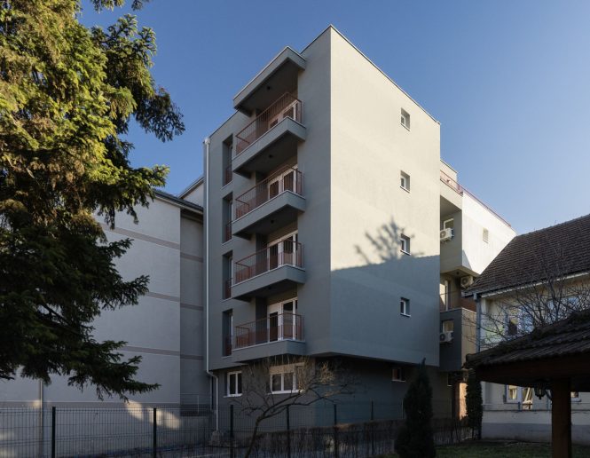 Foto: Mladen Jovanović