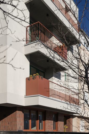 Foto: Mladen Jovanović