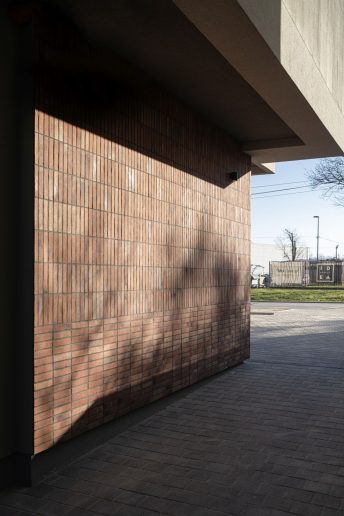 Foto: Mladen Jovanović