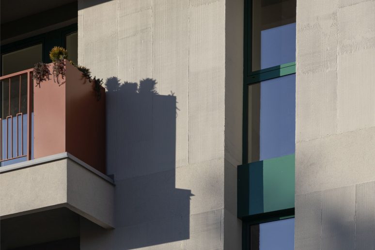 Foto: Mladen Jovanović