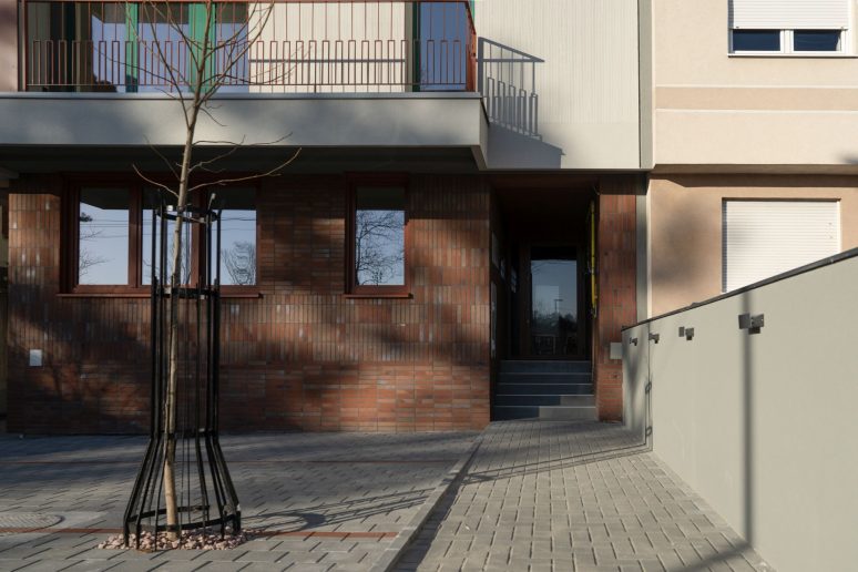 Foto: Mladen Jovanović