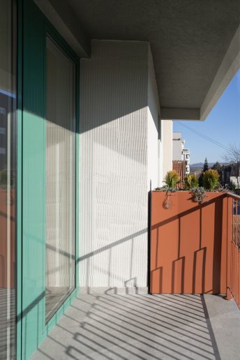 Foto: Mladen Jovanović