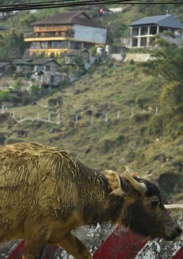 Foto: Jovana Jovičić