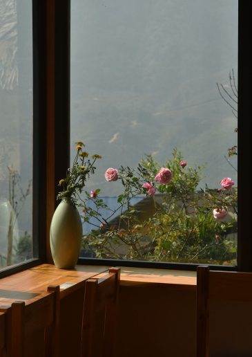 Foto: Jovana Jovičić