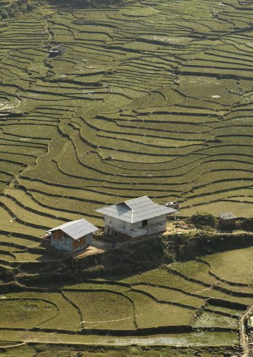 Foto: Jovana Jovičić