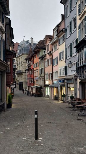 Cirih; Foto: Jovan Bajić