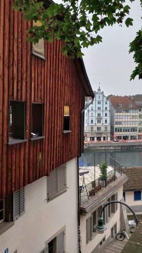 Cirih; Foto: Jovan Bajić