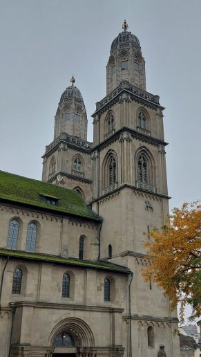 Cirih; Foto: Jovan Bajić