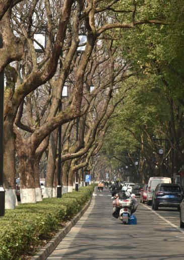 Foto: Jovana Jovičić