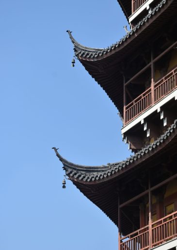 Foto: Jovana Jovičić