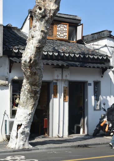 Foto: Jovana Jovičić