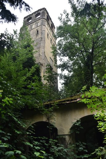 Foto: Mladen Sekulić