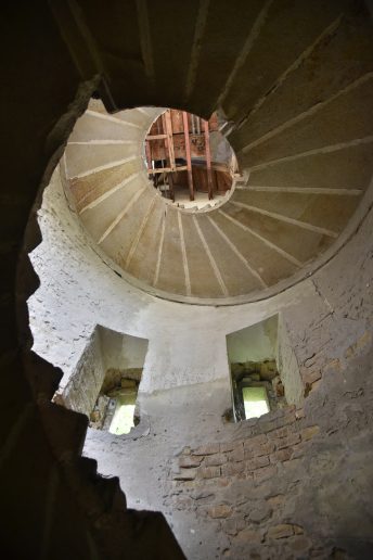 Foto: Mladen Sekulić