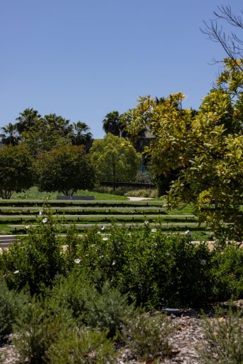 Foto: LA Times (Chun Myung & Jason Armond