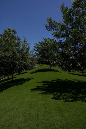 Foto: LA Times (Chun Myung & Jason Armond