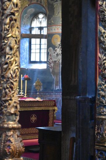 Foto: Jovana Jovičić