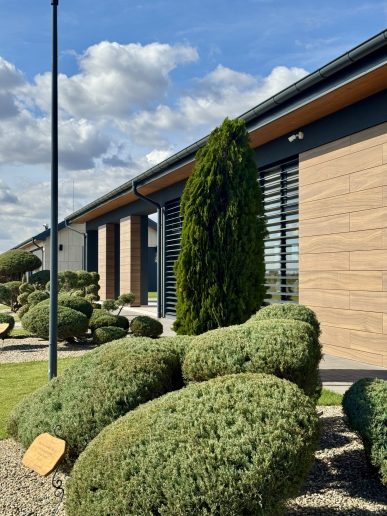 Foto: Jovana Todorović