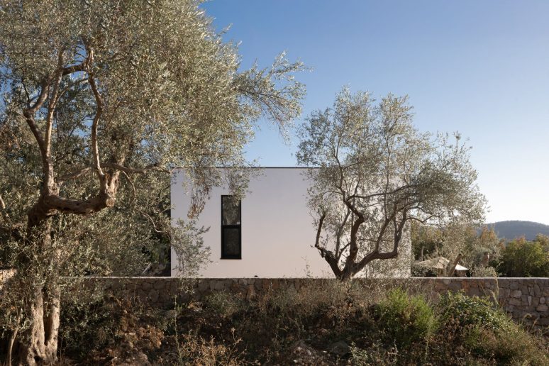 Foto: Lejla Nurković