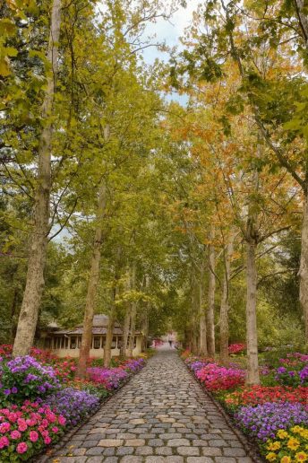Kako bi mogao da izgleda deo parka kod izvora Jezero