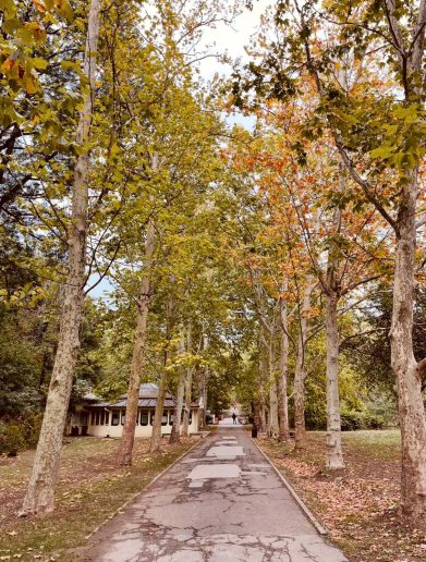 Sadašnji izgled dela parka kod izvora Jezero