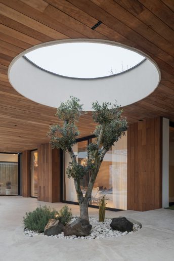 Foto: Miloš Martinović