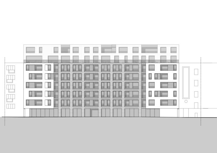 Folic Architects – izgled